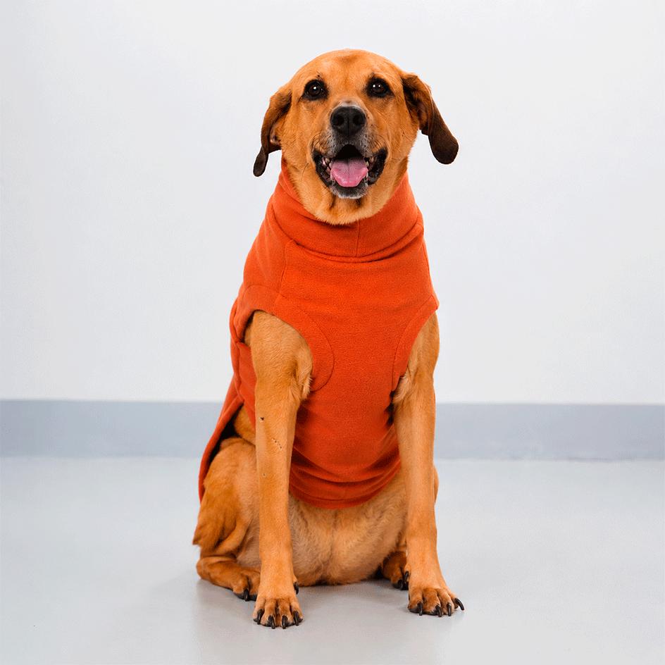 Blusa Pacco Puppy Fleece Damasco para Cães - Tam. GG