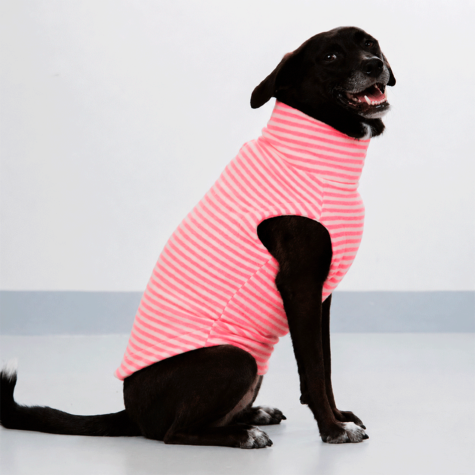 Suéter Pacco Puppy Fauna Retrô Rosa para Cães - Tam. EXG