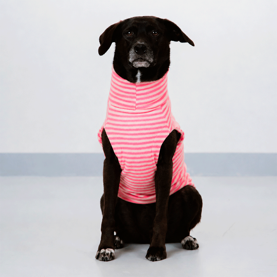 Suéter Pacco Puppy Fauna Retrô Rosa para Cães - Tam. EXG