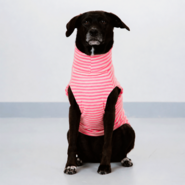 Suéter Pacco Puppy Fauna Retrô Rosa para Cães - Tam. EXG