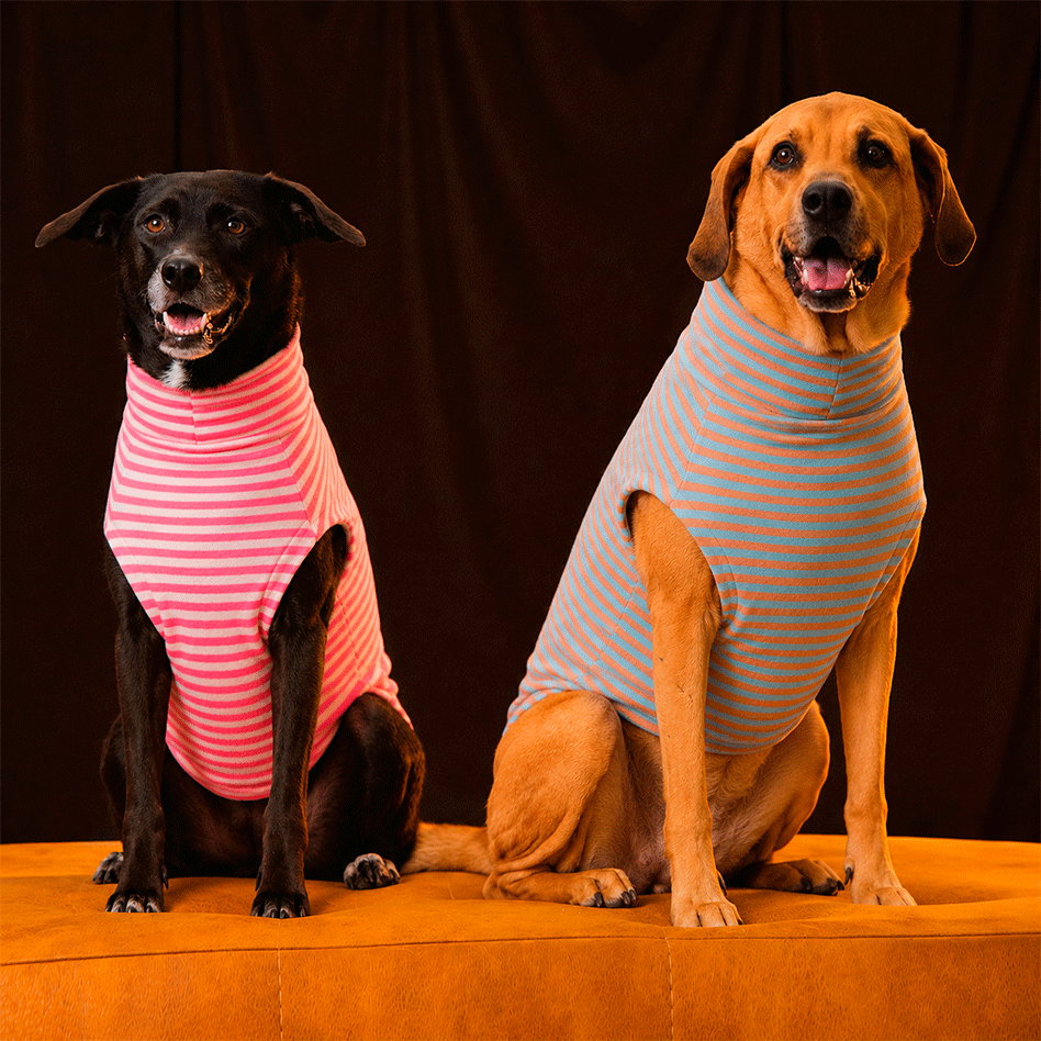 Suéter Pacco Puppy Retro Listrado Azul e Marrom para Cães - Tam. EXG