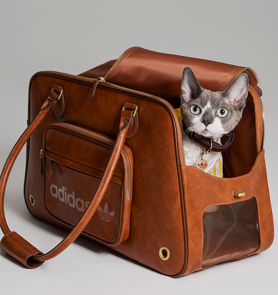 Bolsa Ombro Adidas Originals Pet Marrom - Tam. Único
