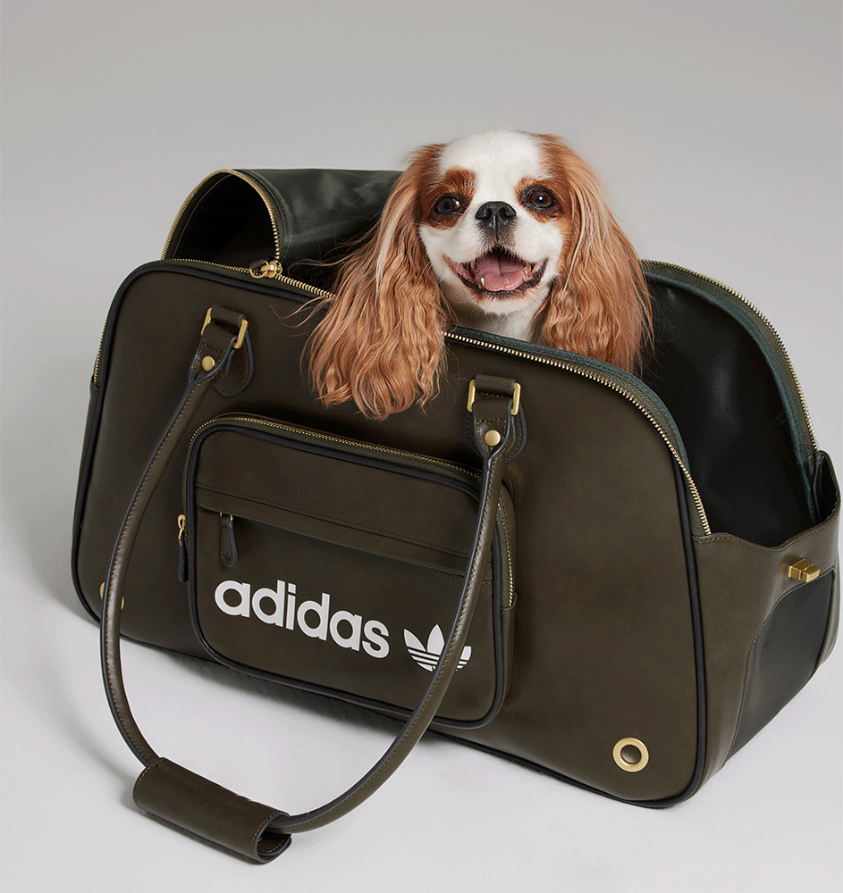 Bolsa Ombro Adidas Originals Pet Verde Oliva - Tam. Único