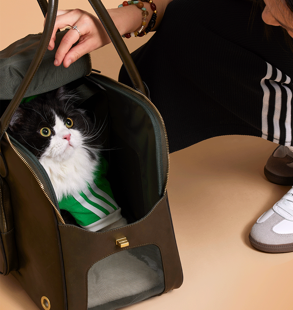Bolsa Ombro Adidas Originals Pet Verde Oliva - Tam. Único