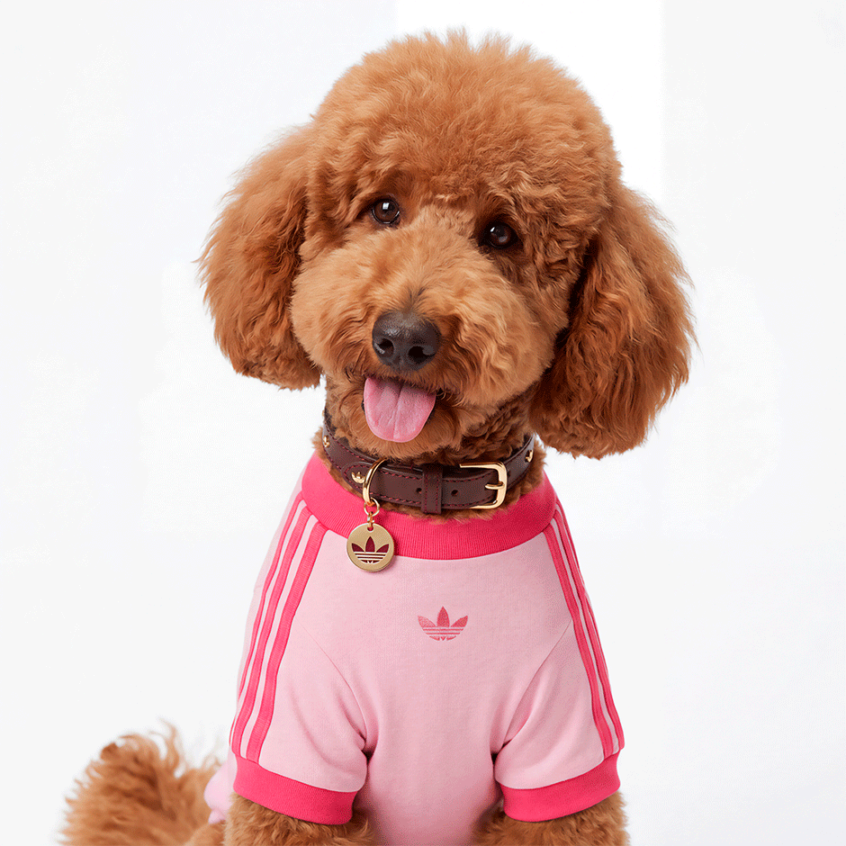 Camiseta Adidas Originals Pet Rosa - Tam. XGG