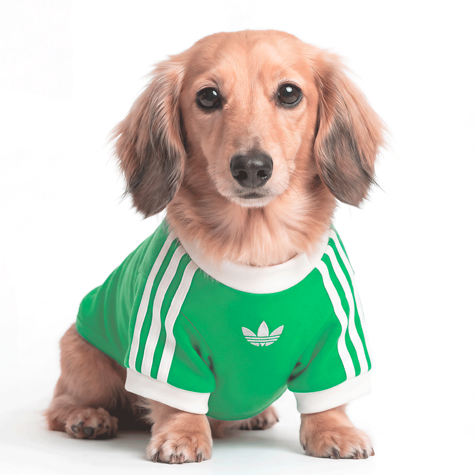 Camiseta Adidas Originals Pet Verde - Tam. XGG