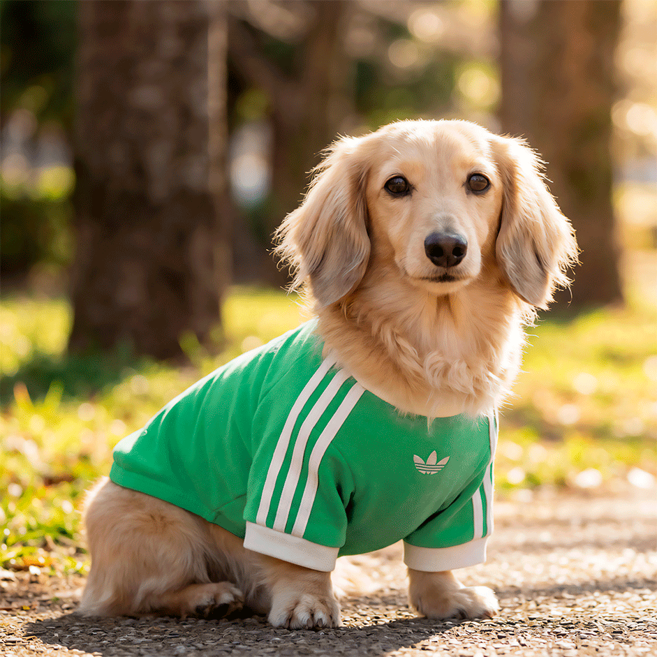 Camiseta Adidas Originals Pet Verde - Tam. XGG