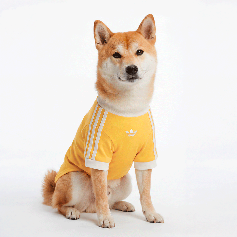 Camiseta Adidas Originals Pet Amarela - Tam. XGG