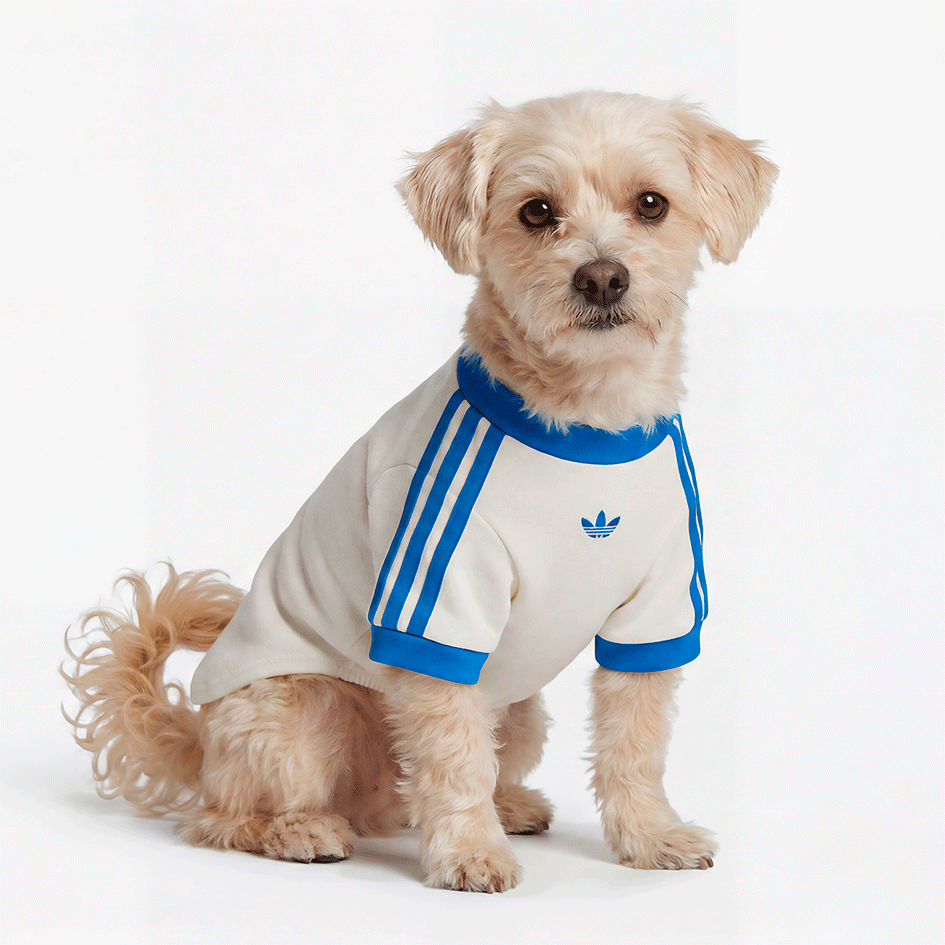 Camiseta Adidas Originals Pet Branca - Tam. XGG