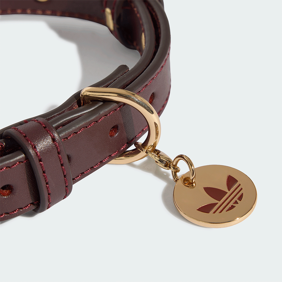 Coleira Adidas Originals Vinho - Tam. M