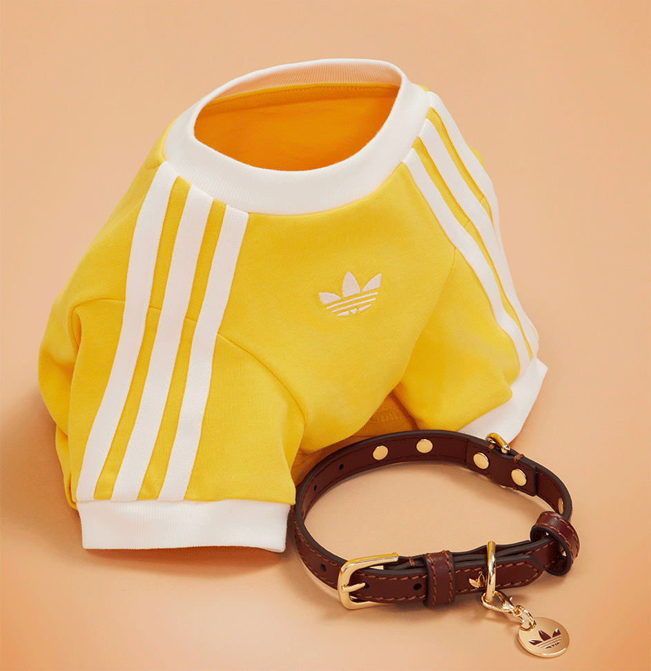 Coleira Adidas Originals Vinho - Tam. M