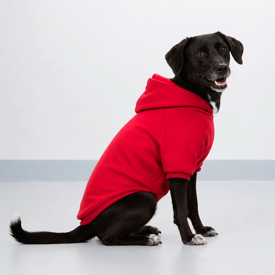 Moletom Pacco Puppy Vermelha para Cães - Tam. EXG