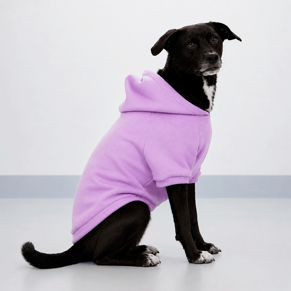 Moletom Pacco Puppy Melissa Lilás para Cães - Tam. GG