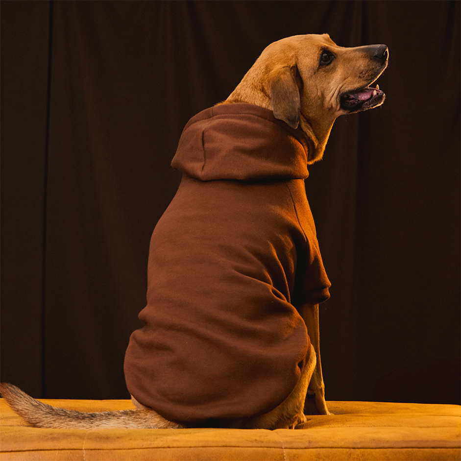 Moletom Pacco Puppy Marrom para Cães - Tam. EXG
