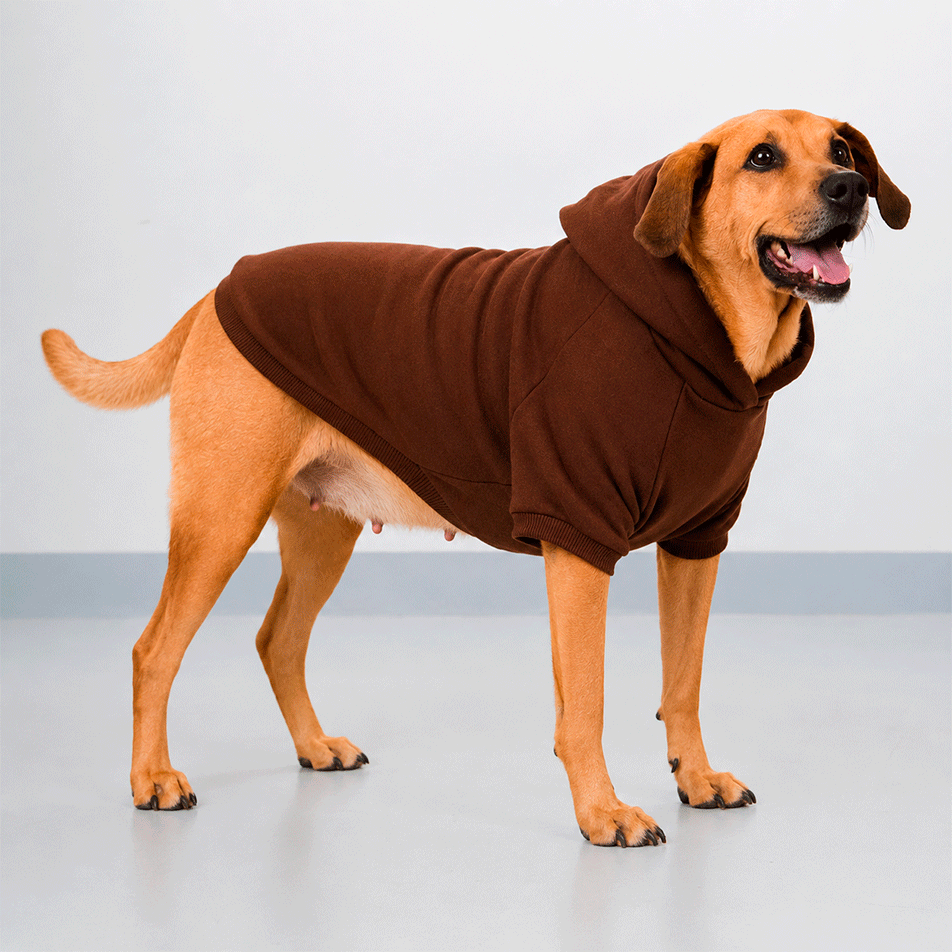 Moletom Pacco Puppy Marrom para Cães - Tam. EXG