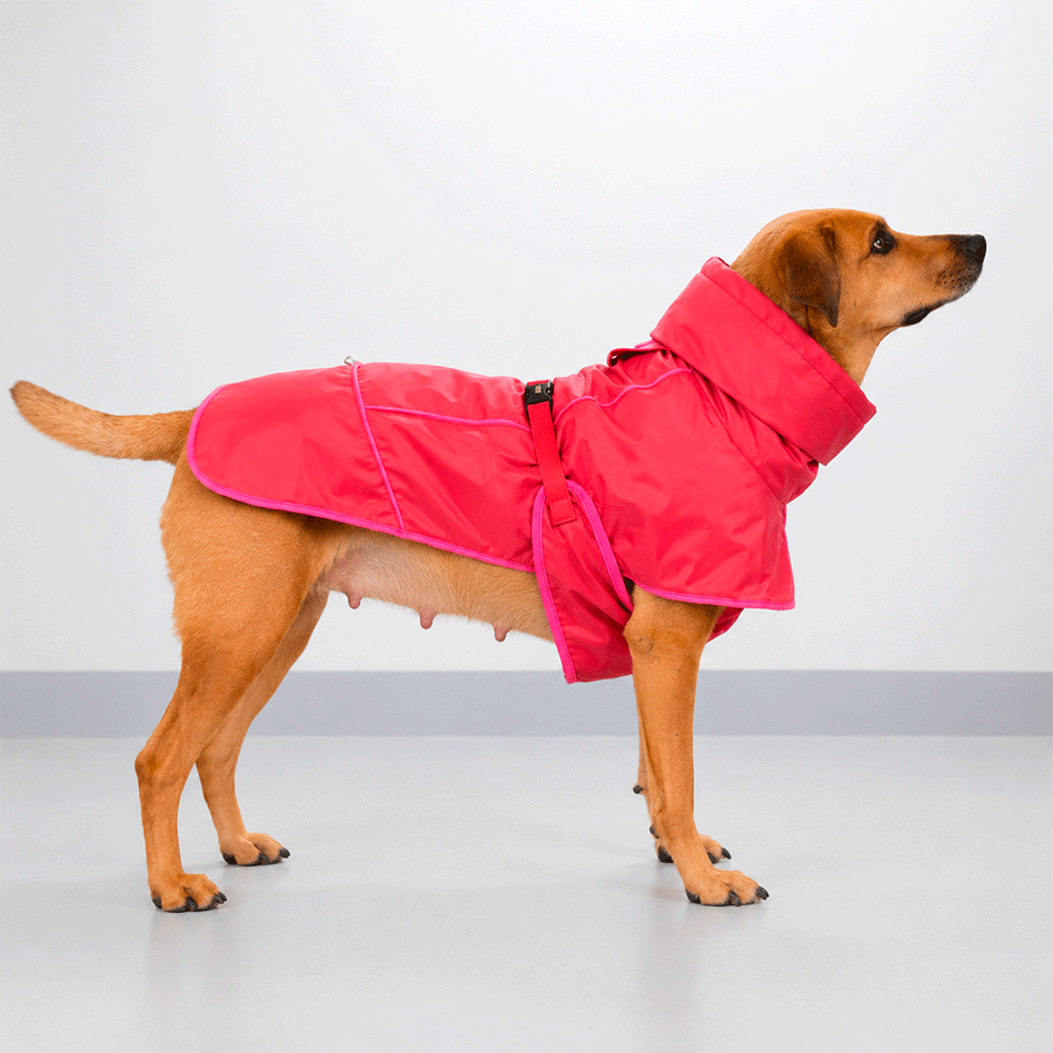 Capa de Chuva Pacco Puppy Aqua Paprika para Cães - Tam. EXG