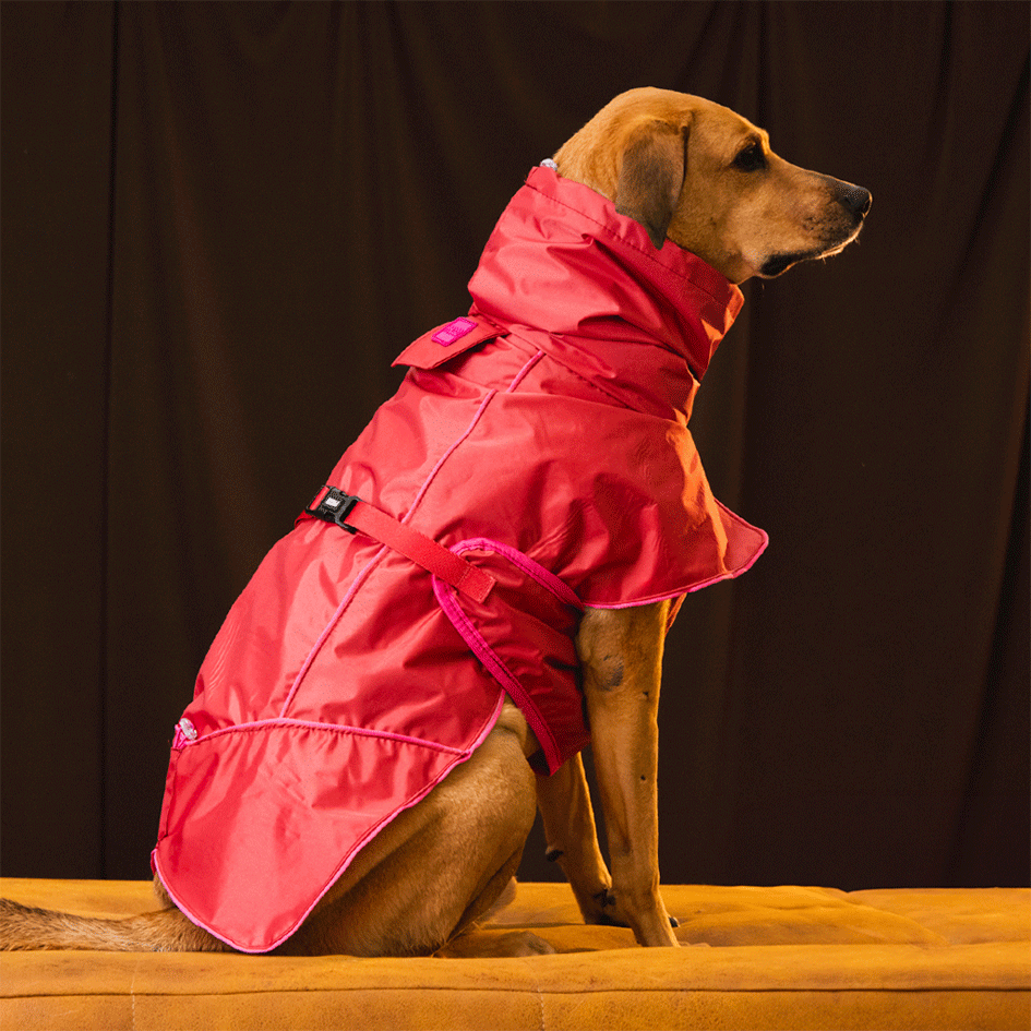 Capa de Chuva Pacco Puppy Aqua Paprika para Cães - Tam. EXG