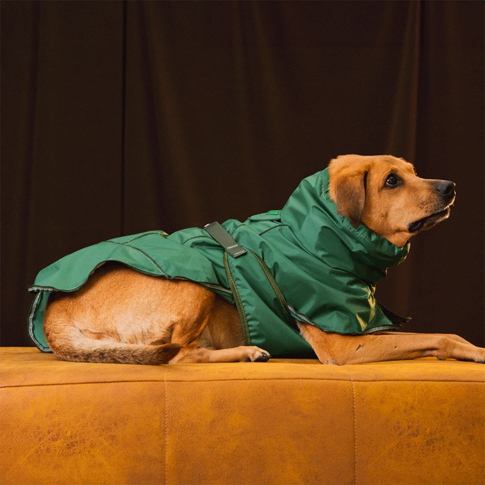 Capa de Chuva Pacco Puppy Oliva para Cães - Tam. GG