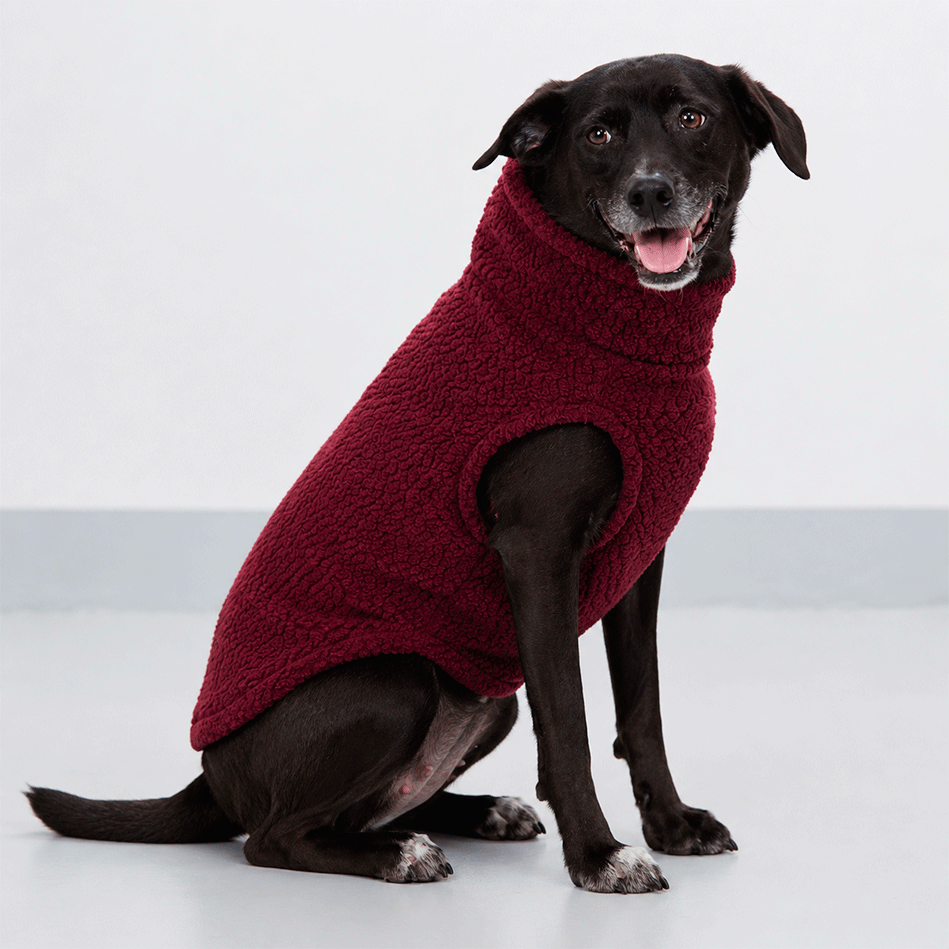 Colete Pacco Puppy Carneirinho Zip Amora para Cães - Tam. EXG