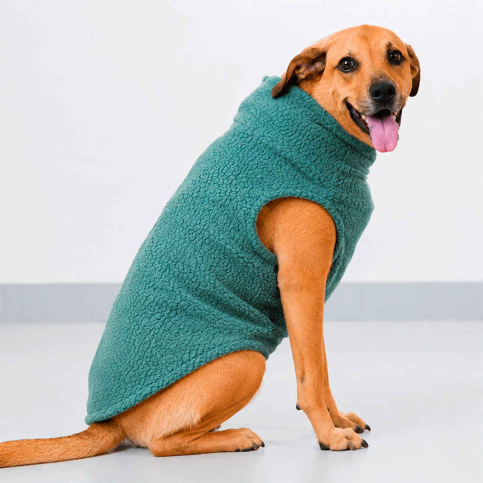 Colete Pacco Puppy Carneirinho Zip Verde Salvia para Cães - Tam. EXG