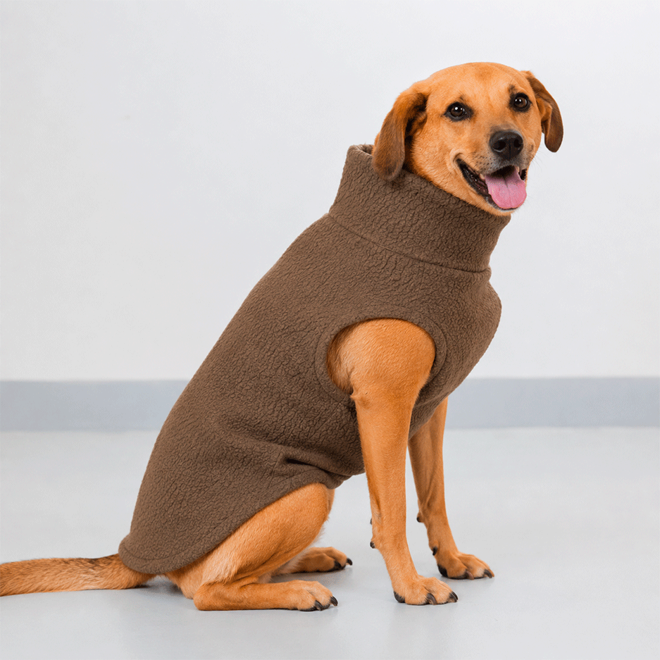 Colete Pacco Puppy Carneirinho Zip Marrom para Cães - Tam. EXG