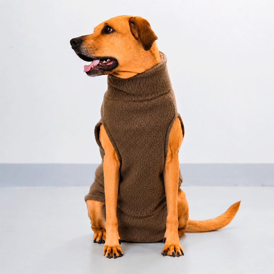 Colete Pacco Puppy Carneirinho Zip Marrom para Cães - Tam. EXG