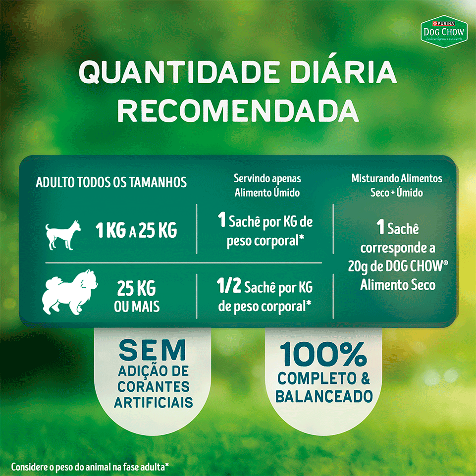 Ração Úmida Tripla Proteína Purina Dog Chow para Cães Adultos sabor Carne, Frango e Porco - 85 g