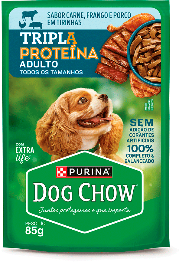 Ração Úmida Tripla Proteína Purina Dog Chow para Cães Adultos sabor Carne, Frango e Porco - 85 g