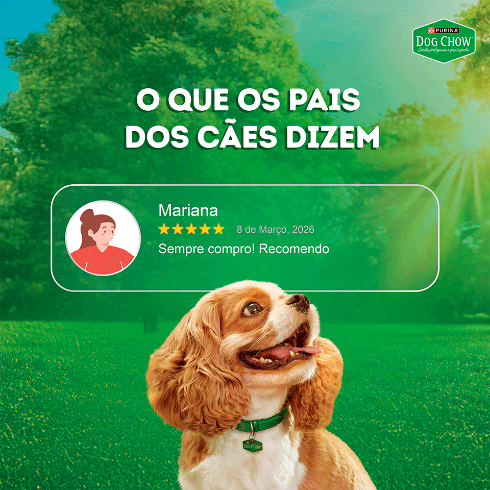 Ração Úmida Tripla Proteína Purina Dog Chow para Cães Adultos sabor Carne, Frango e Porco - 85 g