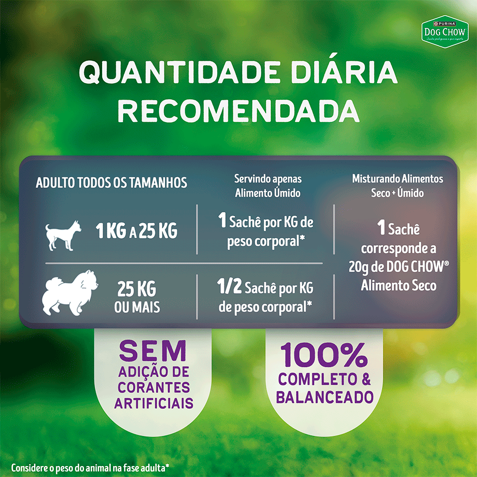 Ração Úmida Tripla Proteína Purina Dog Chow para Cães Adultos sabor Carne, Frango e Salmão - 85 g