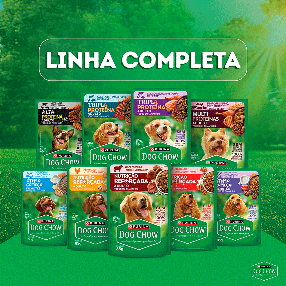 Ração Úmida Tripla Proteína Purina Dog Chow para Cães Adultos sabor Carne, Frango e Salmão - 85 g