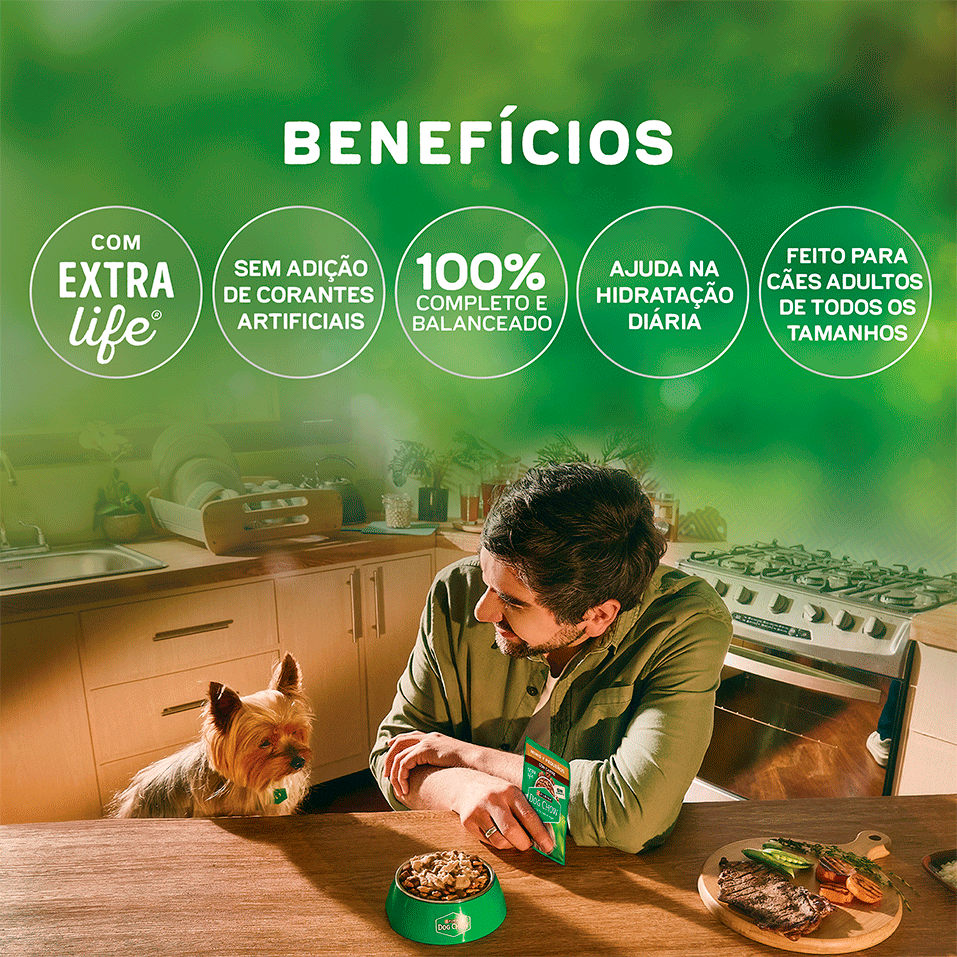 Ração Úmida Tripla Proteína Purina Dog Chow para Cães Adultos sabor Carne, Frango e Salmão - 85 g