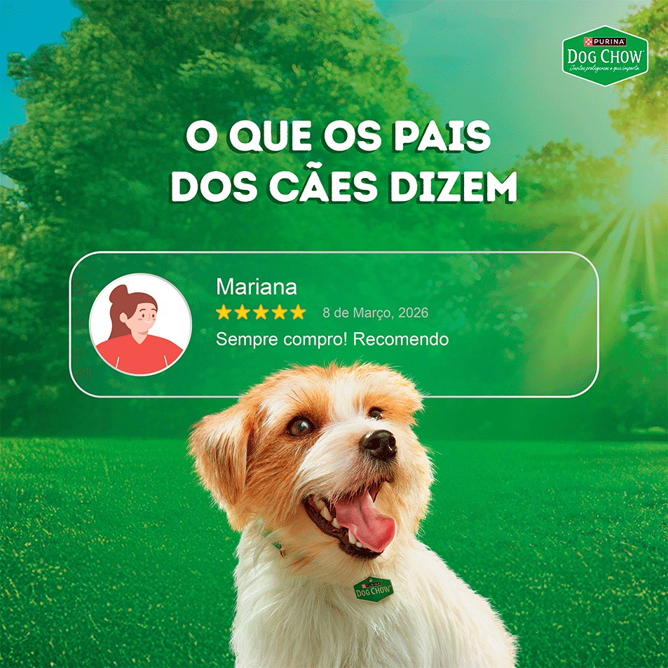 Ração Úmida Tripla Proteína Purina Dog Chow para Cães Adultos sabor Carne, Frango e Salmão - 85 g