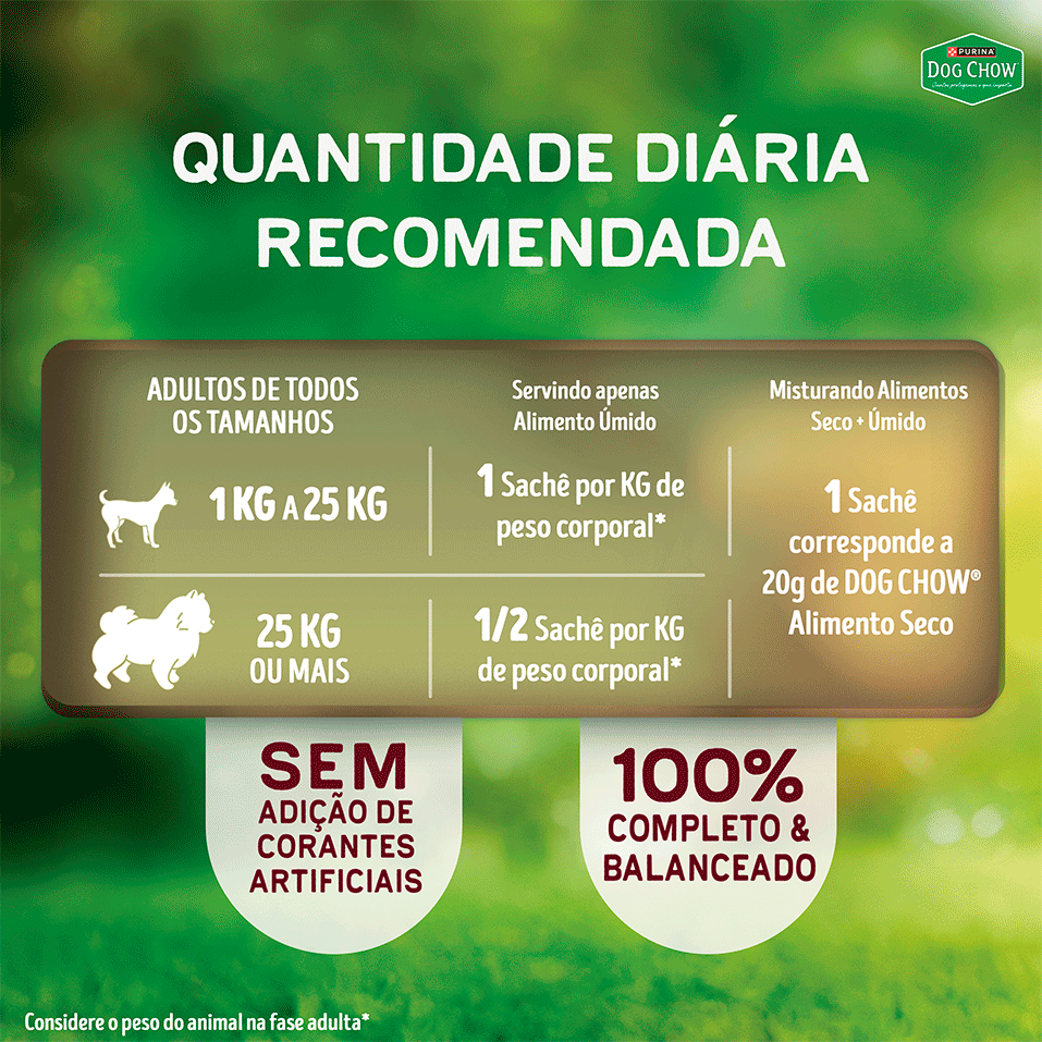 Ração Úmida MultiProteína Purina Dog Chow para Cães Adultos sabor Carne, Frango, Porco, Peru e Peixe - 85 g