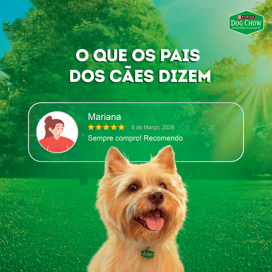 Ração Úmida MultiProteína Purina Dog Chow para Cães Adultos sabor Carne, Frango, Porco, Peru e Peixe - 85 g