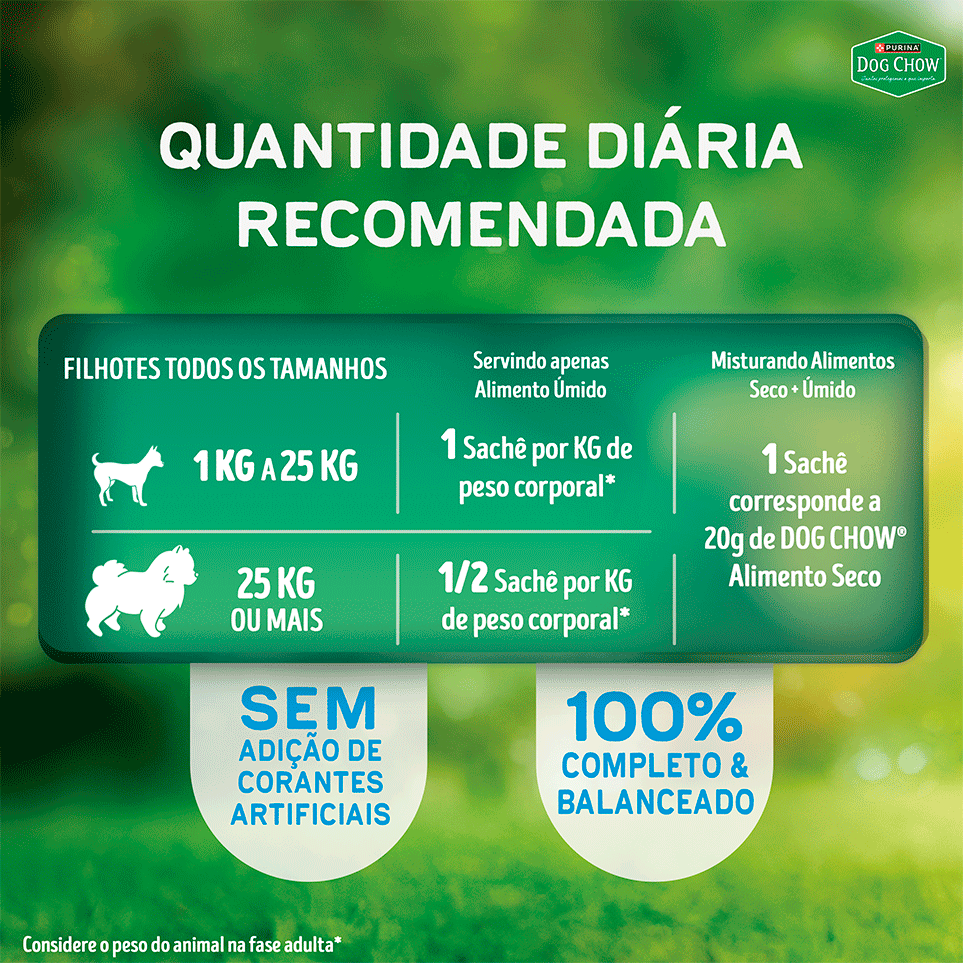 Ração Úmida Ótimo Começo Purina Dog Chow para Cães Filhotes Papinha sabor Frango, Cenoura, Banana e Leite - 85 g