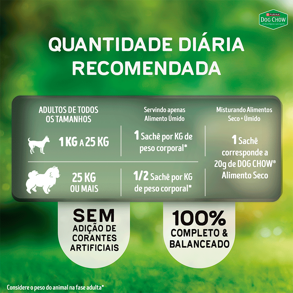 Ração Úmida Alta Proteína Purina Dog Chow para Cães Adultos sabor Carne, Porco e Frango - 85 g