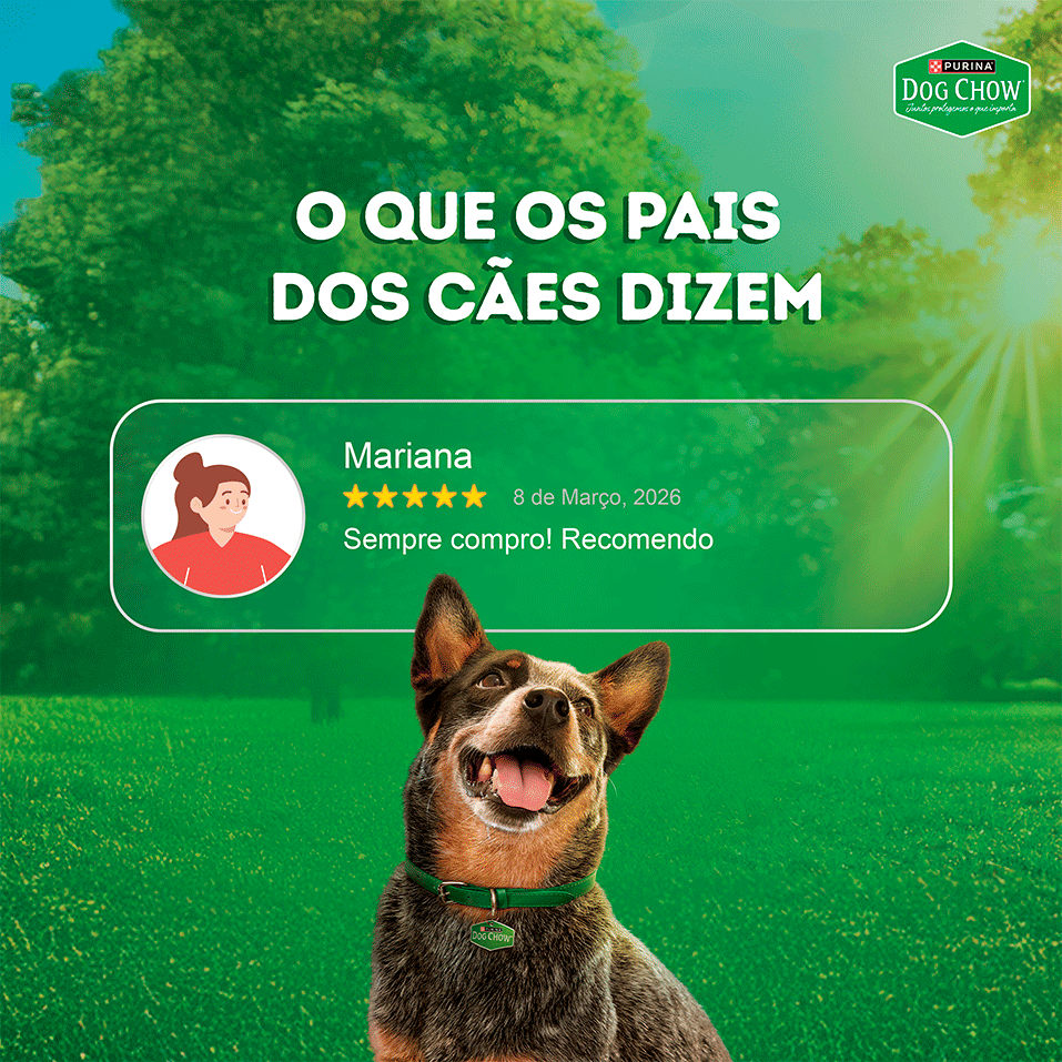 Ração Úmida Alta Proteína Purina Dog Chow para Cães Adultos sabor Carne, Porco e Frango - 85 g