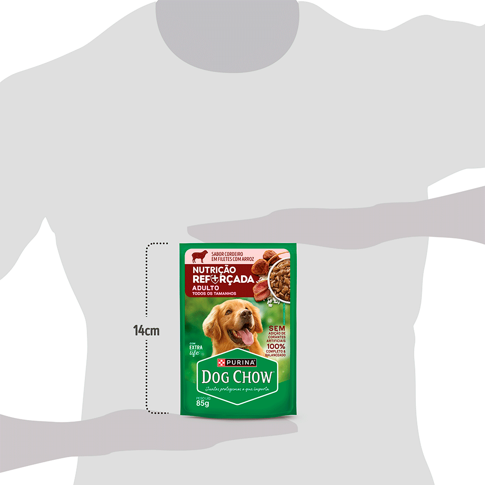 Ração Úmida Nutrição Reforçada Purina Dog Chow para Cães Adultos sabor Cordeiro em Filetes com Arroz - 85 g