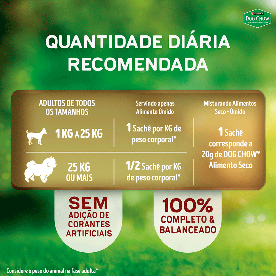 Ração Úmida Nutrição Reforçada Purina Dog Chow para Cães Adultos sabor Cordeiro em Filetes com Arroz - 85 g