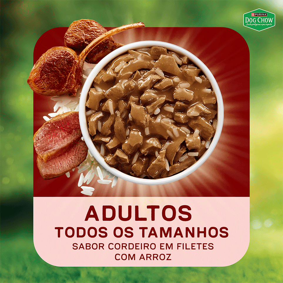 Ração Úmida Nutrição Reforçada Purina Dog Chow para Cães Adultos sabor Cordeiro em Filetes com Arroz - 85 g