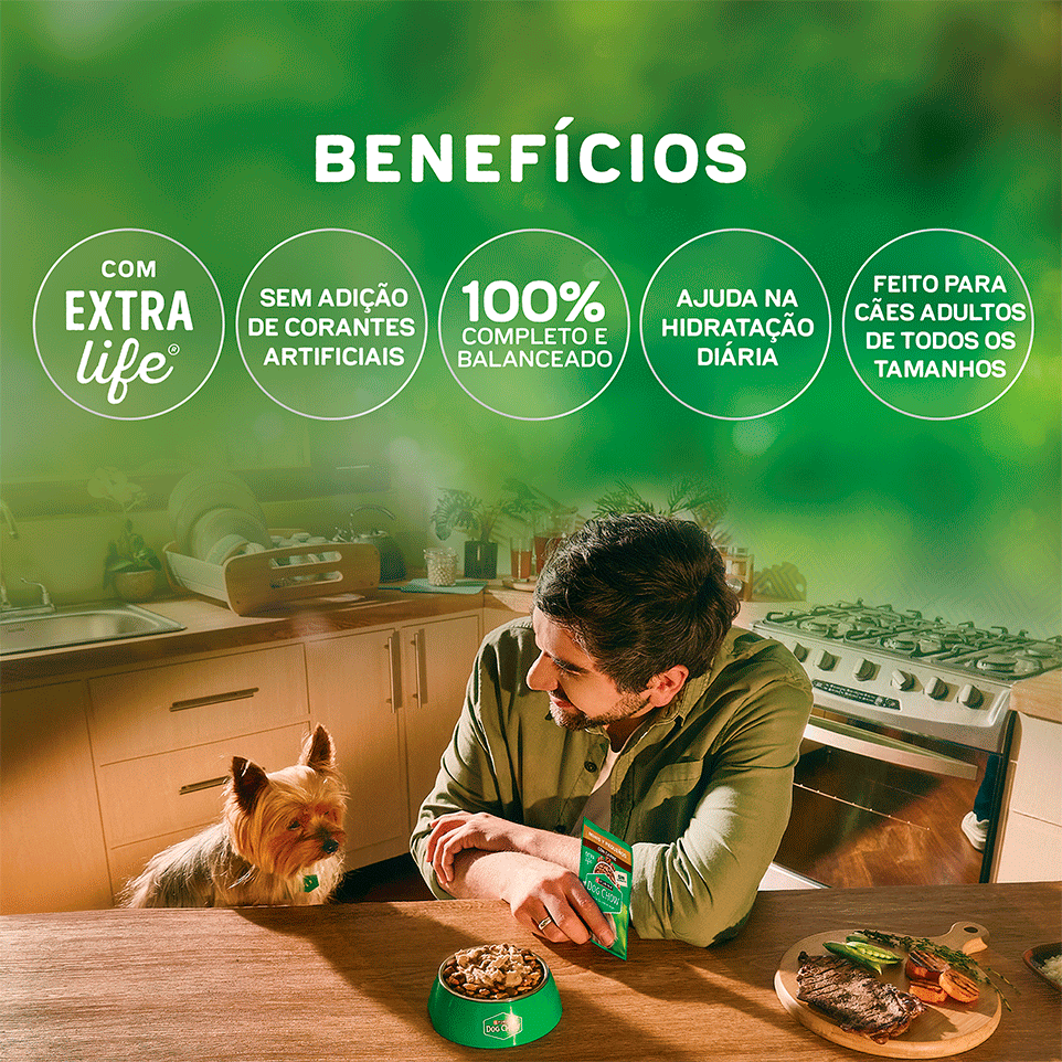 Ração Úmida Nutrição Reforçada Purina Dog Chow para Cães Adultos sabor Cordeiro em Filetes com Arroz - 85 g