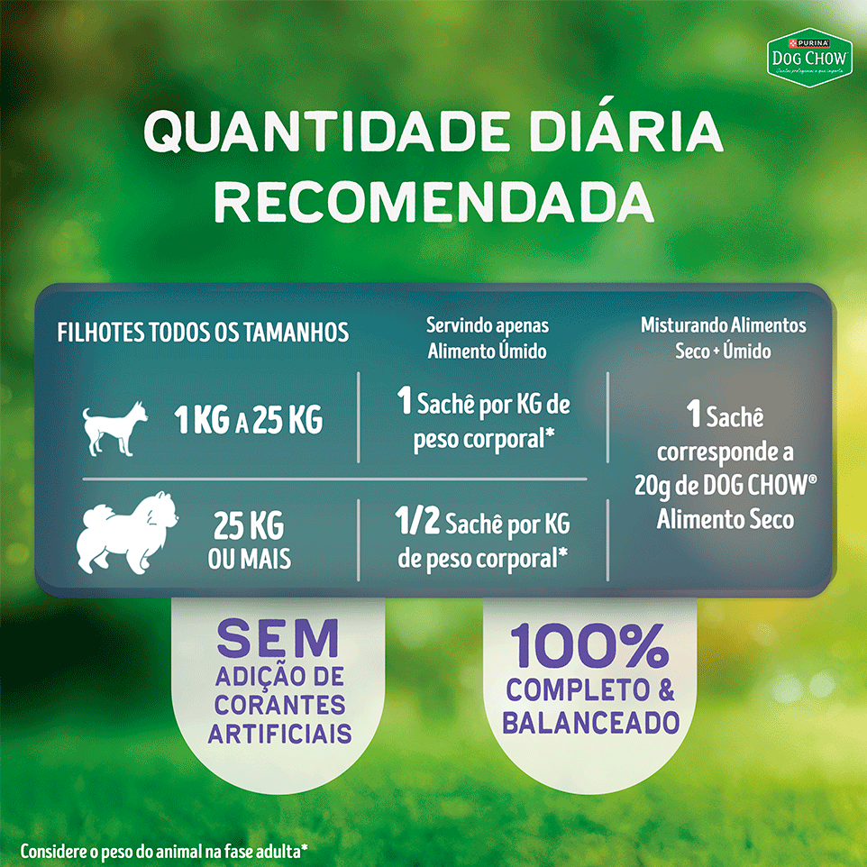 Ração Úmida Ótimo Começo Purina Dog Chow para Cães Filhotes Papinha sabor Carne, Cenoura, Maçã e Leite - 85 g