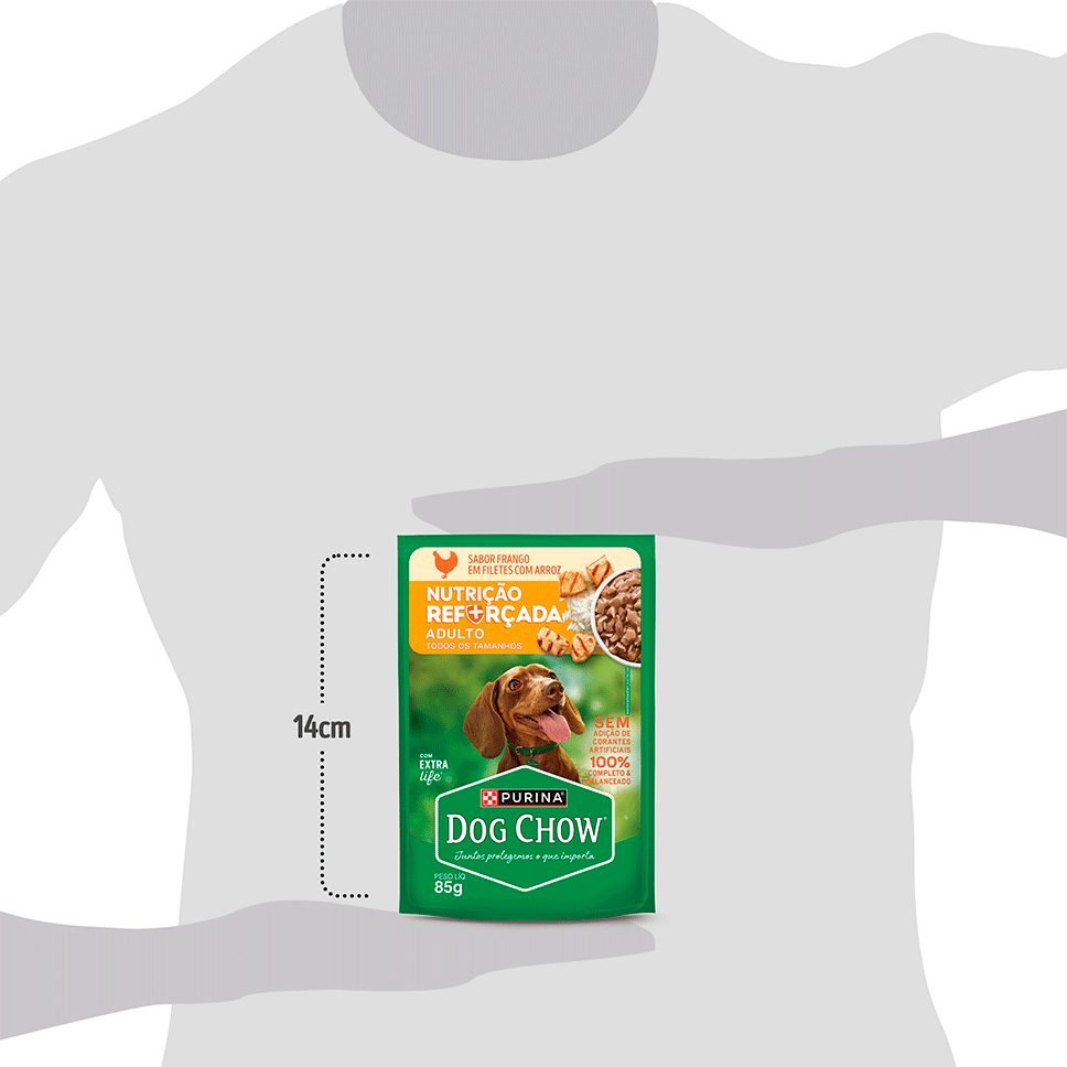 Ração Úmida Nutrição Reforçada Purina Dog Chow para Cães Adultos sabor Frango em Filetes com Arroz - 85 g
