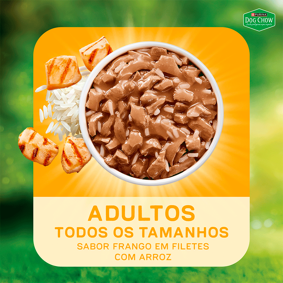 Ração Úmida Nutrição Reforçada Purina Dog Chow para Cães Adultos sabor Frango em Filetes com Arroz - 85 g