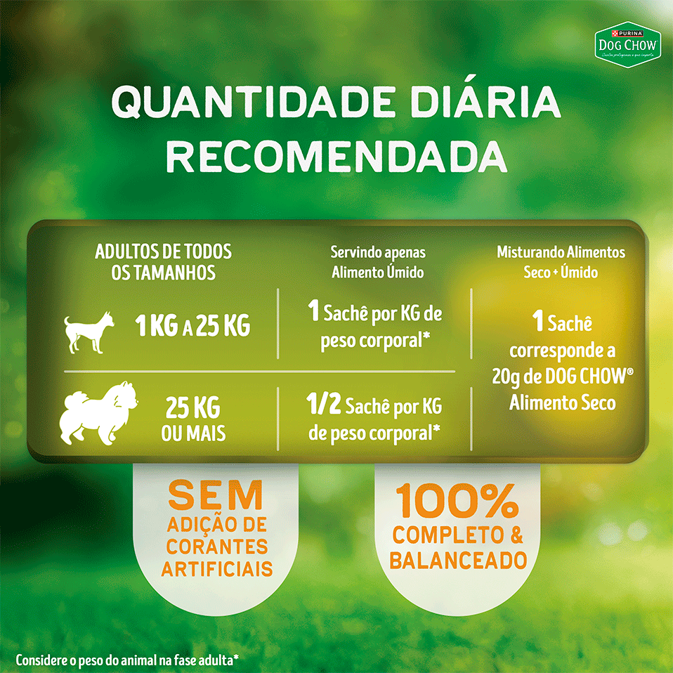 Ração Úmida Nutrição Reforçada Purina Dog Chow para Cães Adultos sabor Frango em Filetes com Arroz - 85 g