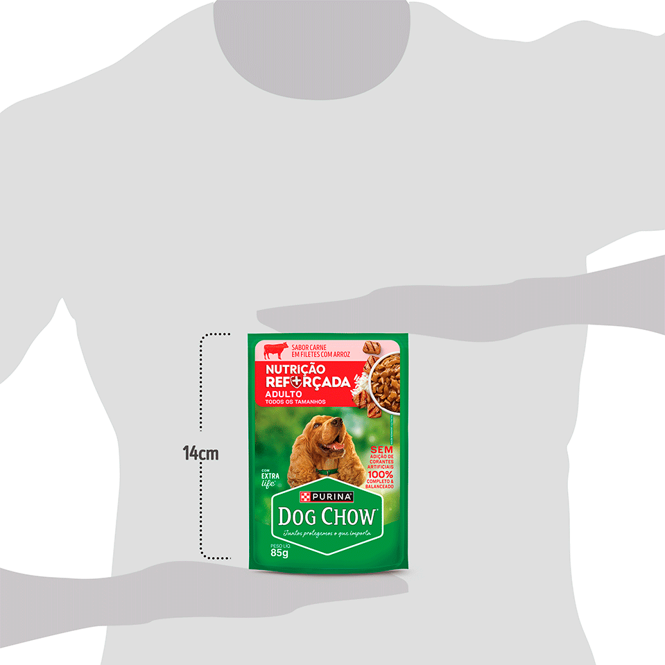Ração Úmida Nutrição Reforçada Purina Dog Chow para Cães Adultos sabor Carne em Filetes com Arroz - 85 g