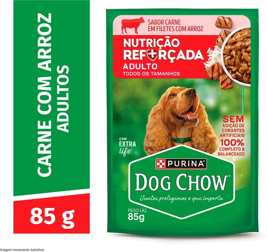 Ração Úmida Nutrição Reforçada Purina Dog Chow para Cães Adultos sabor Carne em Filetes com Arroz - 85 g