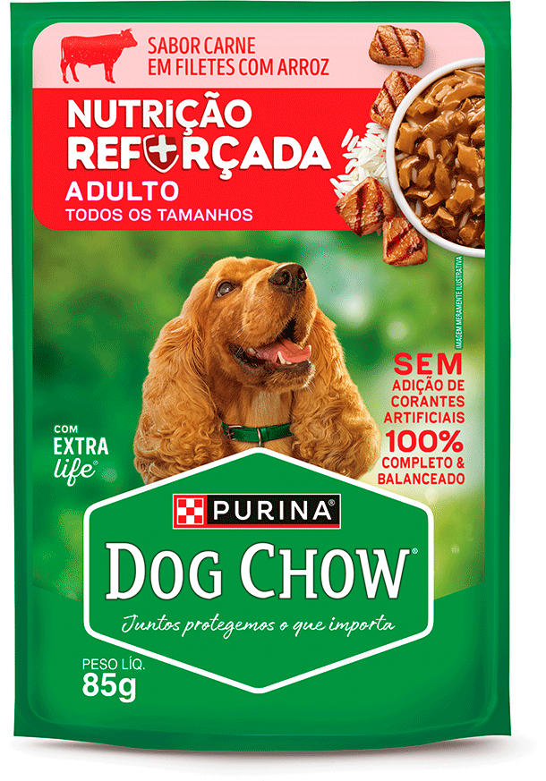 Ração Úmida Nutrição Reforçada Purina Dog Chow para Cães Adultos sabor Carne em Filetes com Arroz - 85 g