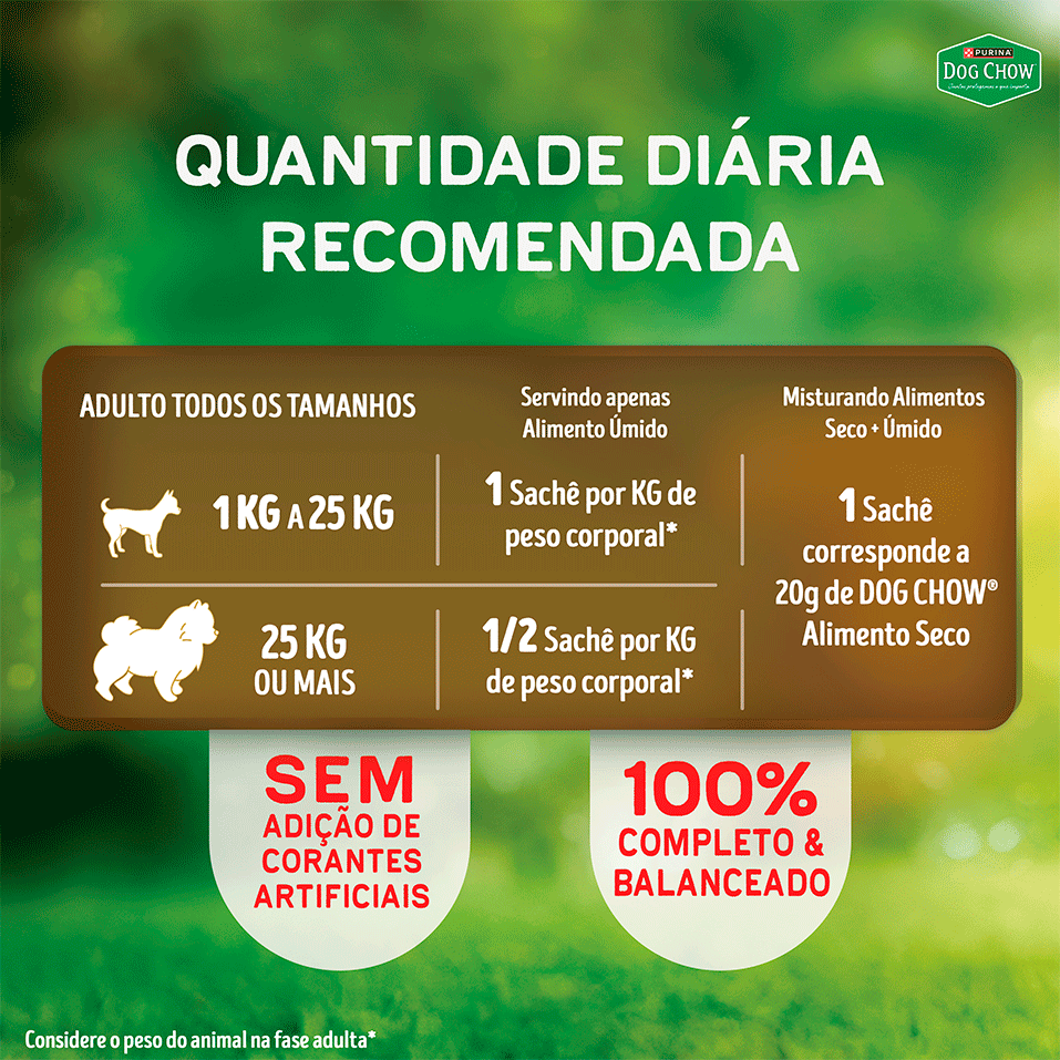 Ração Úmida Nutrição Reforçada Purina Dog Chow para Cães Adultos sabor Carne em Filetes com Arroz - 85 g